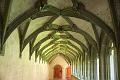 160507_1105_T05263_Stein