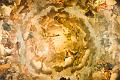 160507_1415_T05360_StGallen