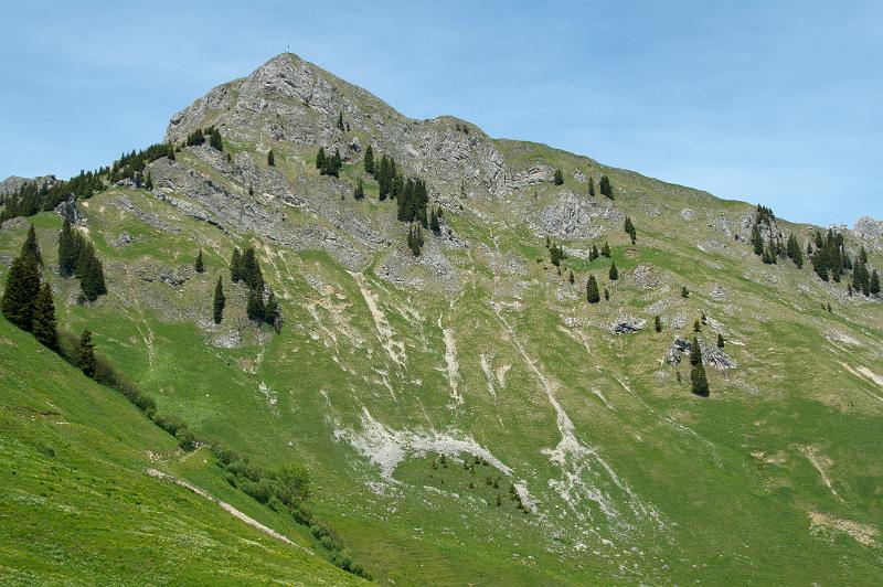 110529_T6560_Hahnenkamm.jpg - Schneid