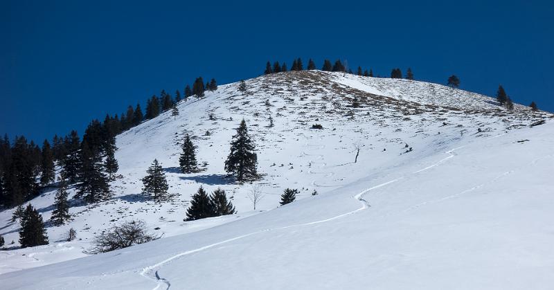 150307_1209_T04342_Schreckenkopf_hd.jpg - Schreckenkopf, am Sudelfeld