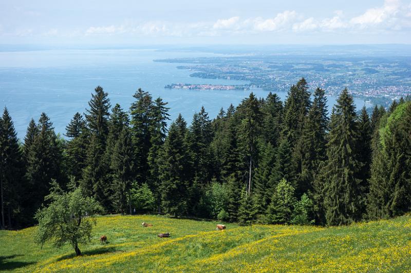 150517_1345_T04758_Pfaender.jpg - Bodenseeblick vom Pfänder
