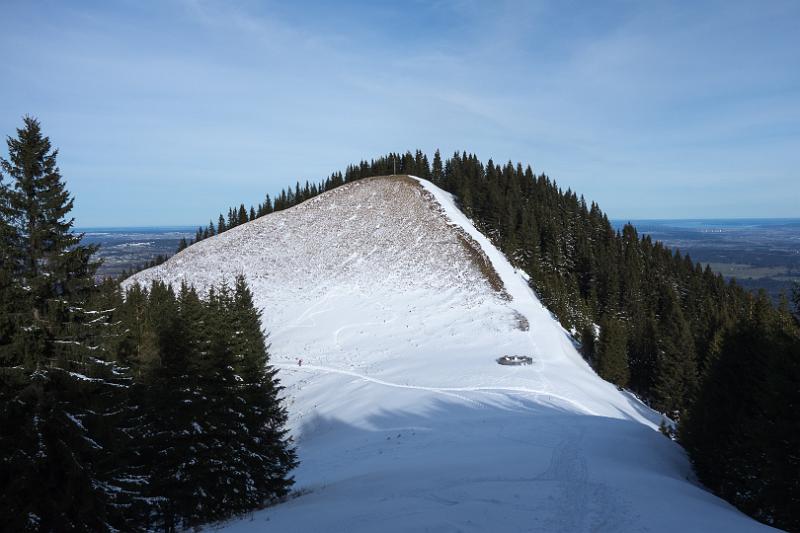 160206_1022_T06329_Stierkopf_hd.jpg - Vom Mittleren zum Vorderen Hörnle