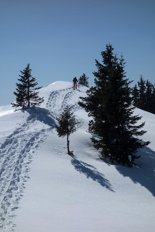 160319_1236_T06543_Heuberg_hd.jpg - Schneeschuhtour am Heuberg