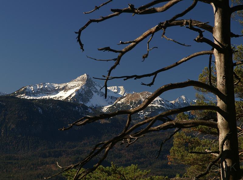 PICT75055_071103_Hirschbichel_Daniel_c.jpg - Blick vom Kramer-Kreuzweg zum Daniel