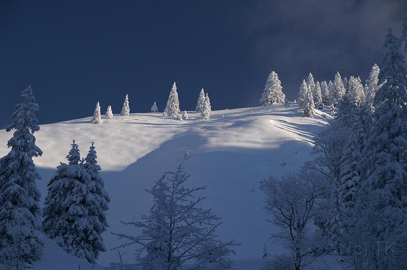 PICT75098_071216_Breitenstein_Winterwald.jpg - Winterlicher Wald zwischen Schweinsberg und Breitenstein