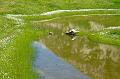 110626_T6676_Rappensee