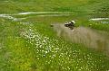 110626_T6680_Rappensee
