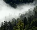110828_T7839_Schmaleggerjoch
