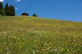 140609_1205_T02453_Rastkogel_hd