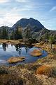 141019_1253_T03286_Spiessnaegel_hd