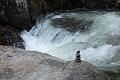 150502_1602_T04547_MariaTrens