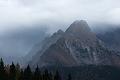 151107_1118_T04822_Jenner_hd