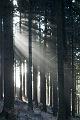 151228_1230_T06299_Rennsteig_hd