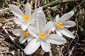 160410_1538_T06605_Reutte_hd