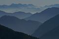 PICT74973_071014_Hochblasse_Scherenschnitt