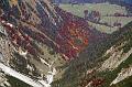 PICT82044_081011_Satteljoch_Herbst_p