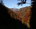 PICT82075_081012_Weitlahnerkopf_Herbst_c