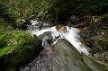PICT96868_091009_Hollersbachtal
