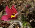 PICT1477_c