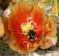 PICT81711_080629_LGS_Neu-Ulm_c
