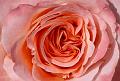 PICT81718_080629_LGS_Neu-Ulm_c
