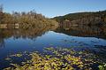 DSC900039_091101_Bechtelesee