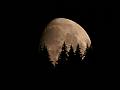 PICT74511_070922_MondWildschoenau_c