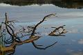PICT96972_091025_Egglsee
