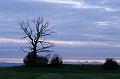 PICT96984_091025_Egglsee