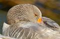 110403_T4926_WildparkPoing