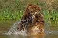 110403_T4995_WildparkPoing