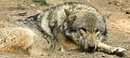 130721_0916_T00763_Poing_hd