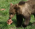 PICT86085_080420_Poing_c