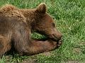 PICT86103_080420_Poing_c