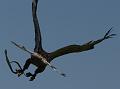 PICT86160_080420_Poing_c