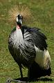 PICT86529_080508_Hellabrunn_c