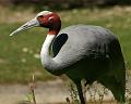 PICT96091_090614_Hellabrunn_c