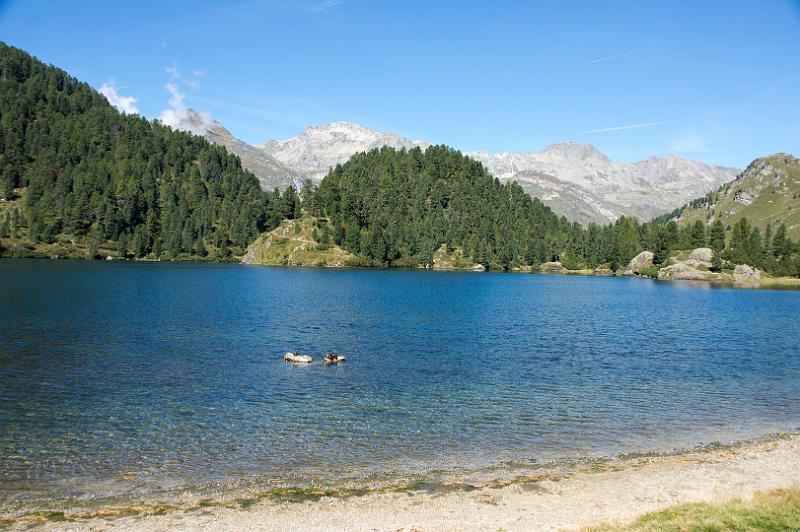 160922_1250_T06599_Bernina_hd.jpg - Der Cavloc-See oberhalb von Maloja