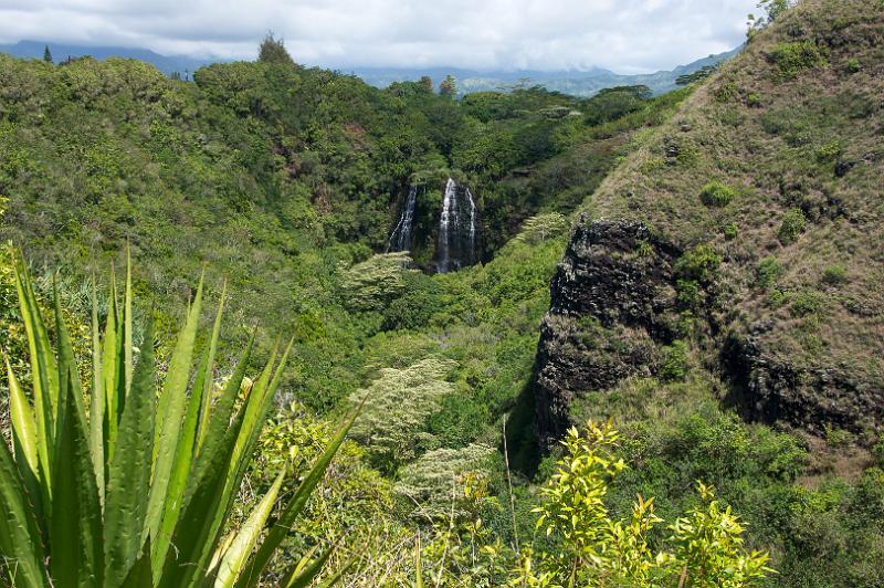 150605_1100_A09343_OpaekaaFalls.jpg - Die Opaekaa Falls vom Aussichtspunkt oberhalb von Wailua