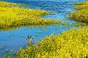 150612_1427_T03910_KealiaPond