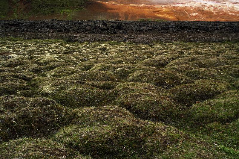 100709_A1078_Leirhnjukur.jpg - Leirhnjukur (Krafla-Gebiet, Myvatn): "alte" und "neue" Lava