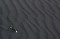 100718_A1990_Emstrur