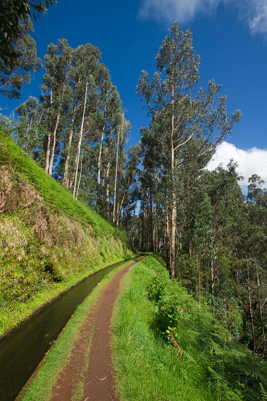 110502_T5684_RibeiraJanela.jpg - Levada Grande, Ribeira da Janela