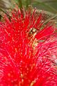 110507_T6405_Funchal