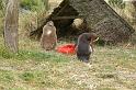 PICT94382_090116_OtagoPenin