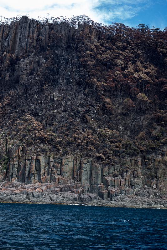 130104_1241_T00075_BrunyIsland.jpg - Bruny Island