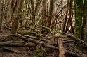 121221_1210_A05973_Waterfall-Pelion_fhd