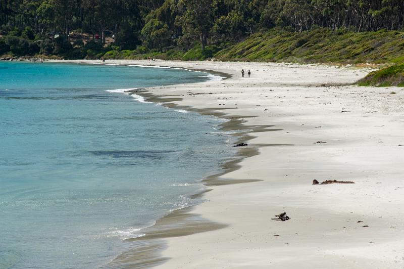 121229_1045_A06345_Bivouac-Fortescue_Hauy_fhd.jpg - Fortescue Bay
