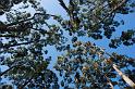 121229_1833_A06384_Bivouac-Fortescue_Hauy