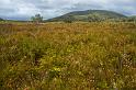 130101_1005_A06517_BareKnoll-Bivouac_fhd